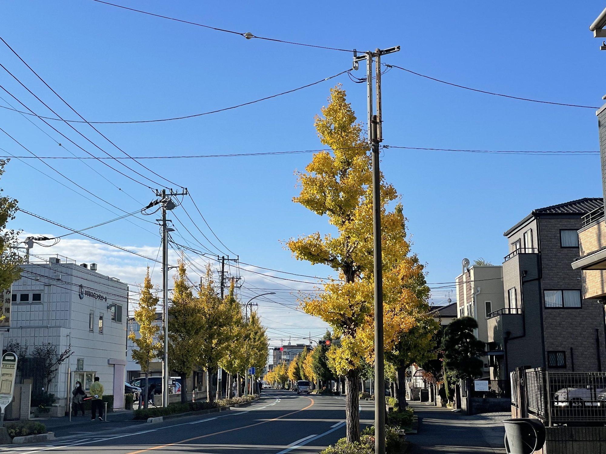 １１・１２月施設見学のご案内