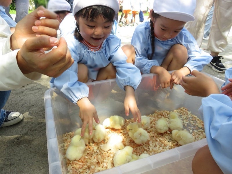 移動動物園のお知らせ（未就園児）